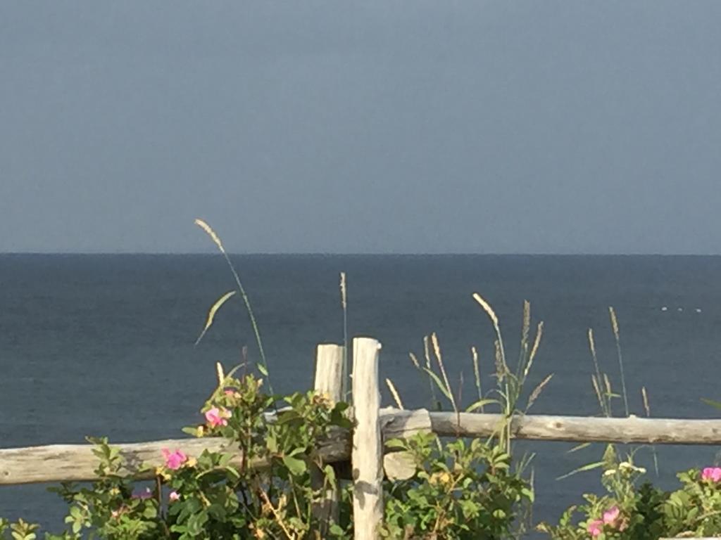 Les Cabines Sur Mer Cap-des-Rosiers Экстерьер фото